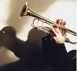 Concerto di Santa Cecilia dell'Orchestra "Il Trillo"