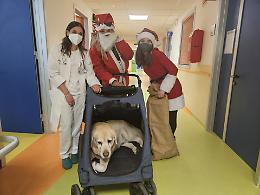 A Pediatria arriva 'Boston Natale', Babbo a quattro zampe