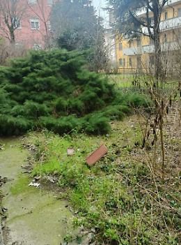 Incuria e sporcizia, l'appello degli inquilini anziani