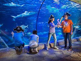 Carnevale a Gardaland Sea Life Aquarium