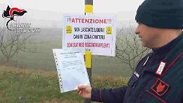 Esche avvelenate, intervento di bonifica dei forestali