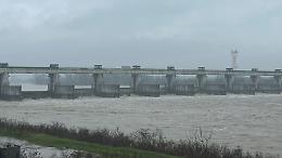 Il Po torna a salire nel Piacentino, e ricompaiono i tronchi a San Nazzaro