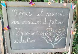 Didattica green con orto e stagno