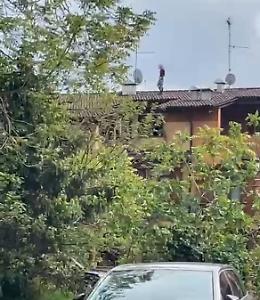 Uomo sul tetto: inseguito, bloccato e arrestato