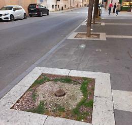 &laquo;Il verde dimenticato, progettazione assente&raquo;