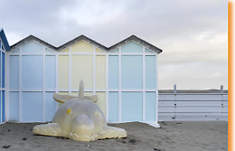 "Mi hanno rubato il mare" foto di Alessandro Chiusa