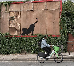Una leonessa nello zoo di Banksy: la campagna artistica infiamma Londra