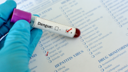 Dengue, disinfestazione in paese dopo un caso accertato