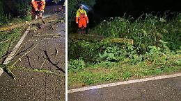 Maltempo: cade una pianta in via Miglioli, interviene la protezione civile