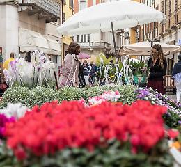 In centro è l’ora delle ‘Invasioni Botaniche’  