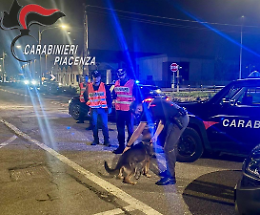 Maxi controlli dell’Arma con la collaborazione della GdF: presente un'unità cinofila