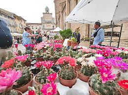 Fiori e sapori: l’autunno celebrato tra gli stand