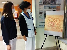 “Scientific Art in Hematology”: l'ematologia raccontata con le immagini al microscopio