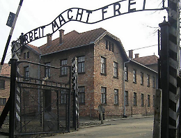Note di Memoria: Letture sulla Shoah
