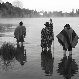 Visita guidata speciale alla mostra "Mapuche, il ritorno di voci antiche"