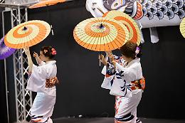 'Japan Show': un viaggio tra le meraviglie del Sol Levante