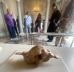 Oltre 20mila per il contemporaneo: bene la terza edizione di Art Week