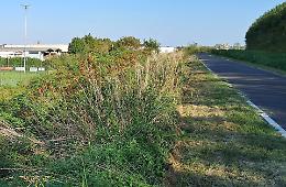 Argine maestro: «Degrado e abbandono»