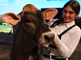 Fiere Zootecniche Internazionali 2025