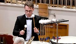 Il timpanista sul Danubio