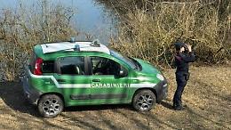 Operazione dei carabinieri forestali, due denunce