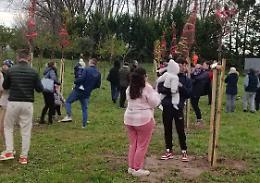 Per ogni nato ora c’è un nuovo albero