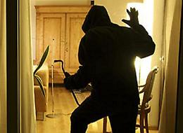 Le urla dei proprietari fanno fuggire i ladri