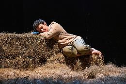 Acrobatiche Poetiche: il teatro sommerso che crea comunit&agrave;