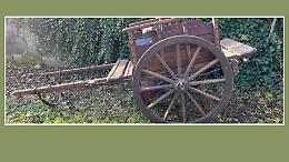 Rubato il carretto dei doni: l'appello