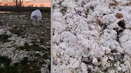 Montagne di lana abbandonata in zona golenale