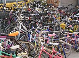  Alla Campi tre biciclette rubate in sette giorni