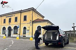 Carabinieri, controlli straordinari nel Casalasco: 36enne trovato con dell'hashish