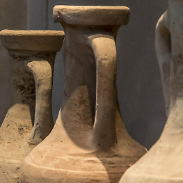 Dalla scuola al museo: visite guidate