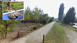 Allarme bocconi avvelenati lungo il Serio: cresce la paura tra i proprietari di cani