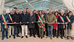 Sant&rsquo;Apollonia 2026: la fiera tra tradizione agricola e innovazione