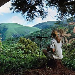 The Nature of Hope - Un tributo a Jane Goodall e alle donne che ha ispirato