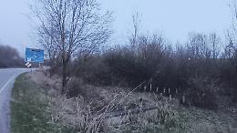 &laquo;Quel boschetto ormai &egrave; un problema&raquo;