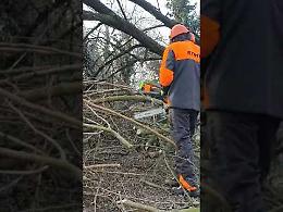 VIDEO I volontari del gruppo Lo Sparviere al lavoro lungo le rive del Serio