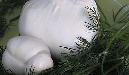 Birre artigianali abbinate ai prodotti di bufala lombarda a Crema 