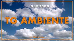 Tg Ambiente - 7/12/2025