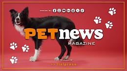 PetNews Magazine - 8/12/2025