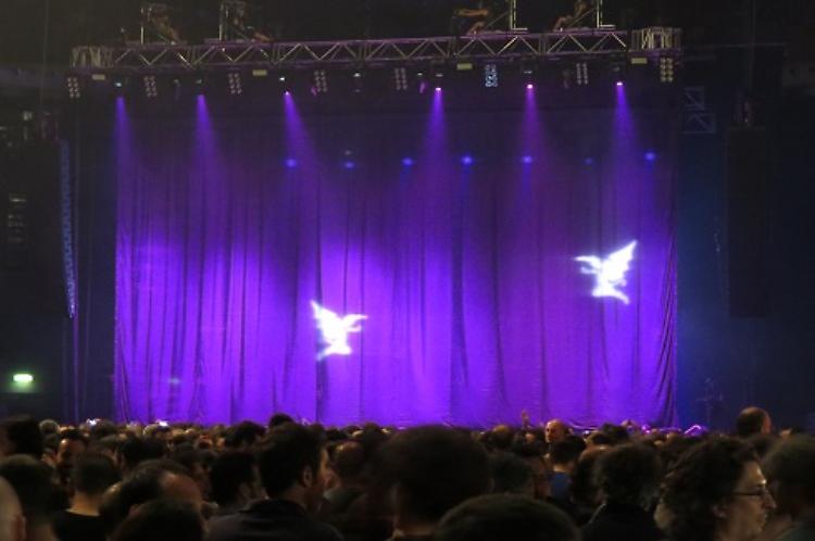 Foto di Sara 'Zamba' Zambelli