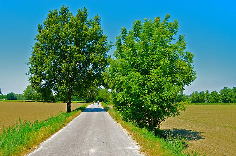 Con il Fai in molti scoprono il nostro territorio