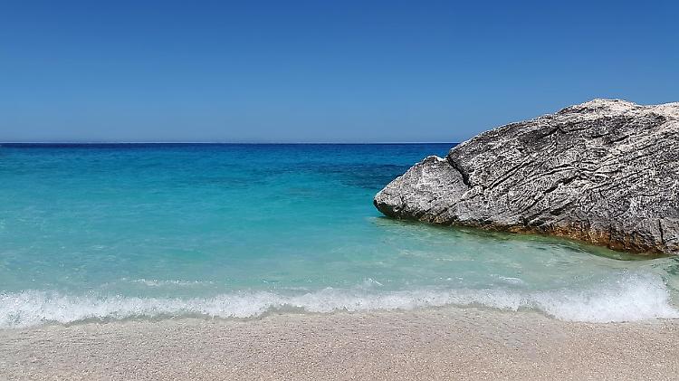 Giornata Oceani: WWF, il Mediterraneo si sta tropicalizzando