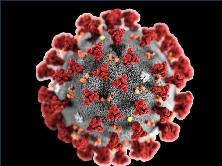  Ministero: già isolate centinaia di varianti del virus 