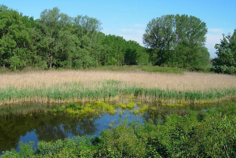 I corsi: a scuola dalla natura