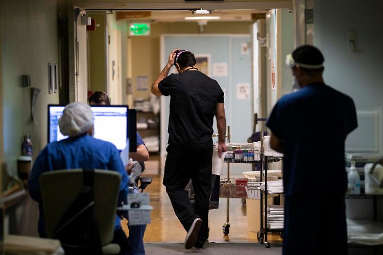 Covid: c'è anche quella cremonese tra le 7 varianti trovate in Lombardia