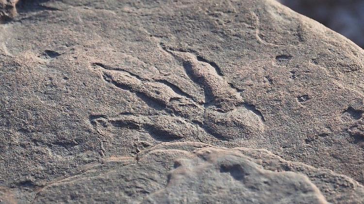 Gb: bimba di 4 anni scopre impronta dinosauro nel Galles