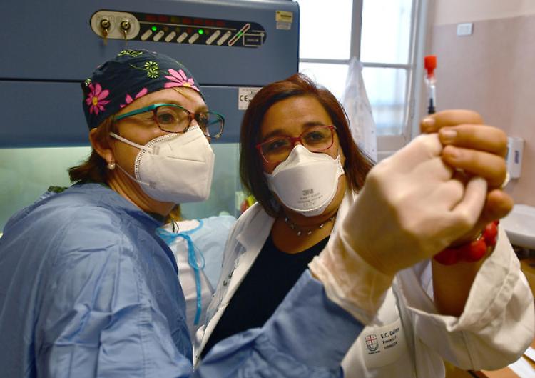 Covid: in 24 ore 17.083 positivi, 343 vittime