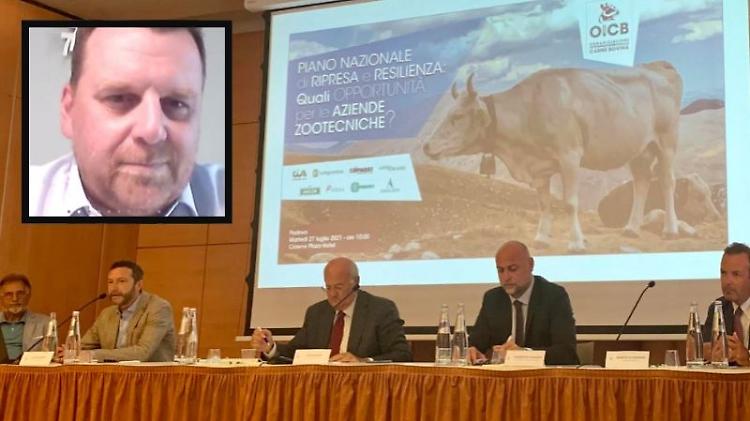 Oicb: "La zootecnia sia protagonista nel Pnrr"